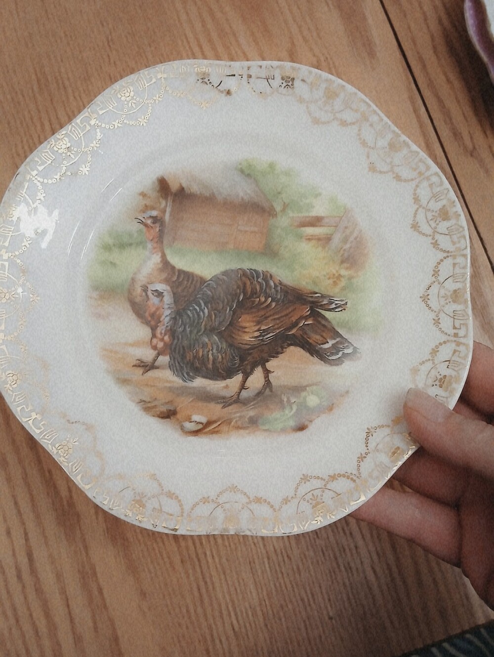 Antique Mignon Z.S. & Co. porcelain plate